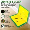 Pest Sticky Pads Trap - Extra Strong Sticky Traps Glue