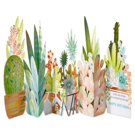 American Greetings Pop Up Birthday Card (How Amazing You Are)