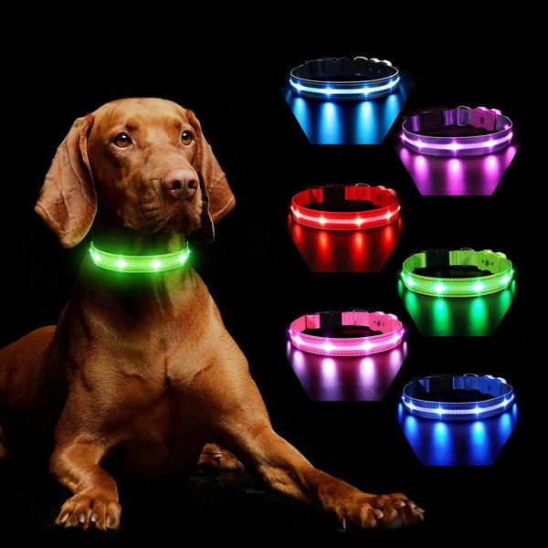Hundehalsband Leuchtend Aufladbar, Leuchthalsband Hund 7 RGB Farbwechsel mit 8