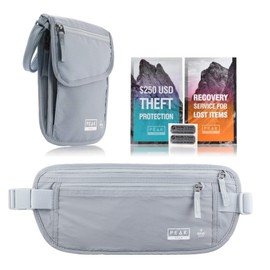 Travel Companion Combo - Hidden Travel Money Belt + Neck Wallet (Gray, Bundle)