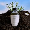 White Tea Aroma Essential Oil Blend Sublime Scent, Hotel Diffuser