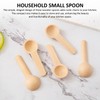 30 Pieces Spice Spoons, 1 Piece Storage Bag, Mini Wooden