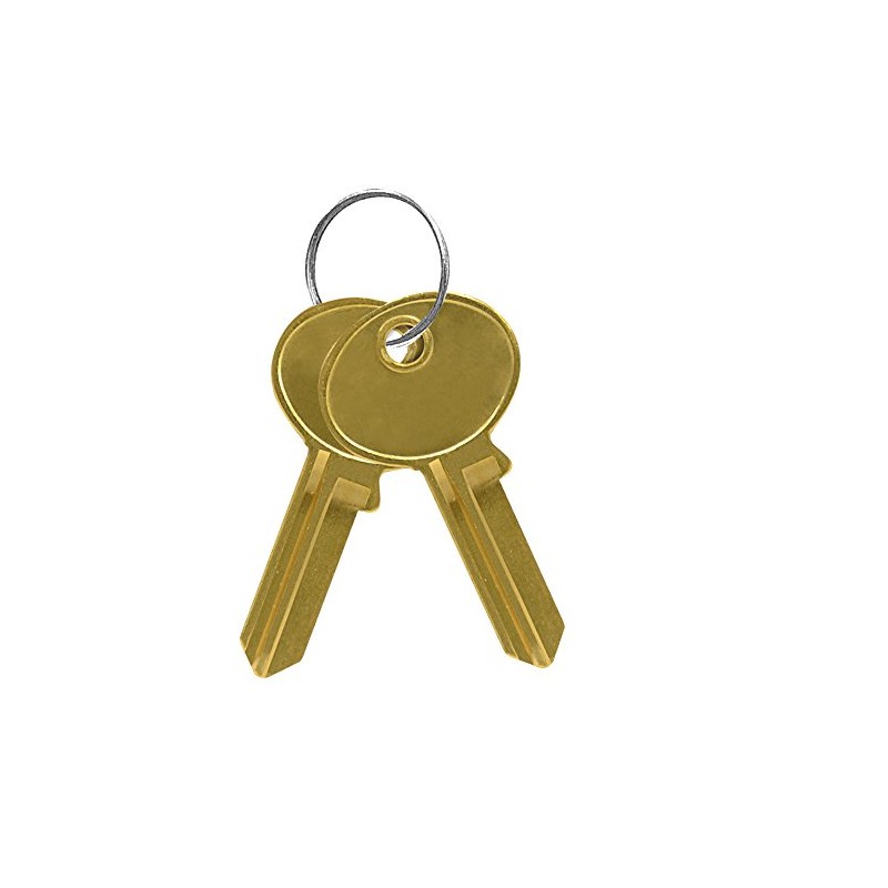 Salsbury Industries 19999 Key Blanks