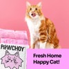 PAWCHOY 5 in 1 Mixed Cat Litter – Clumping, Flushable,
