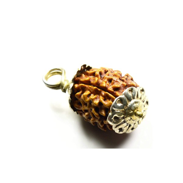 IndianStore4All 3 Face Rudraksha Pendant/Three Face Rudraksha Silver Pendant |Certified|
