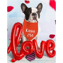 Valentine's Day Dog Bandanas, Kisses 25$ Double Sided 2 Pack Holiday Puppy Bandanas, My Mom is My Valentine Dog Kerchief Gifts (04)