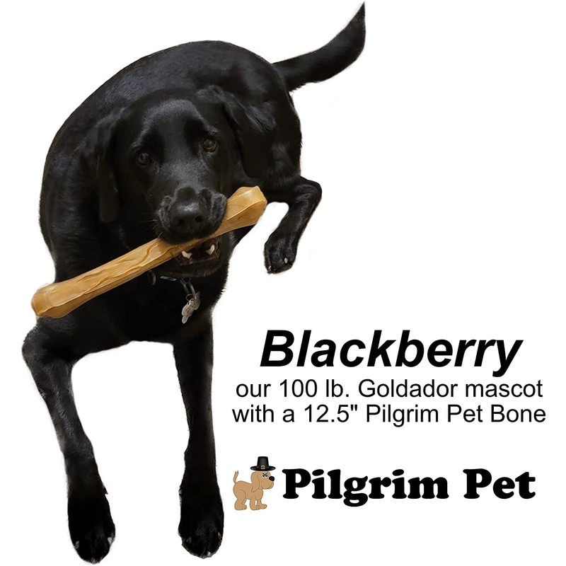 Pilgrim Pet Dog Bones Long Lasting 5-Pack – Natural Compressed
