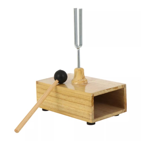 None Standard Tuning Fork Activator Teaching Instrument Equipment