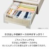 Tenma Serpenton Box LL 13.9 x 11.8 x 4.3 inches