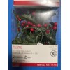 Ashland 5ft LED Holly Red Berry Christmas Crafting Lights Lot