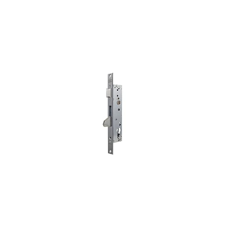 tesa Assa Abloy 4210353 or monopunto lock for PEFILES metal