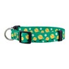 Native Pup Easter Dog Collar, Cute Spring Gift for Puppies,