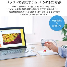 Sanwa Direct 400-CAM056 Microscope, USB Connection, View and Store Directly on PC, Maximum 250x, 2 Megapixels, Supports Interval Shooting, Video Recording, Digital Microscope