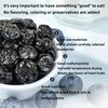 SYZJMWDY Wild Dried Blueberries, Unsweetened 7.05oz (200g) - All Natural