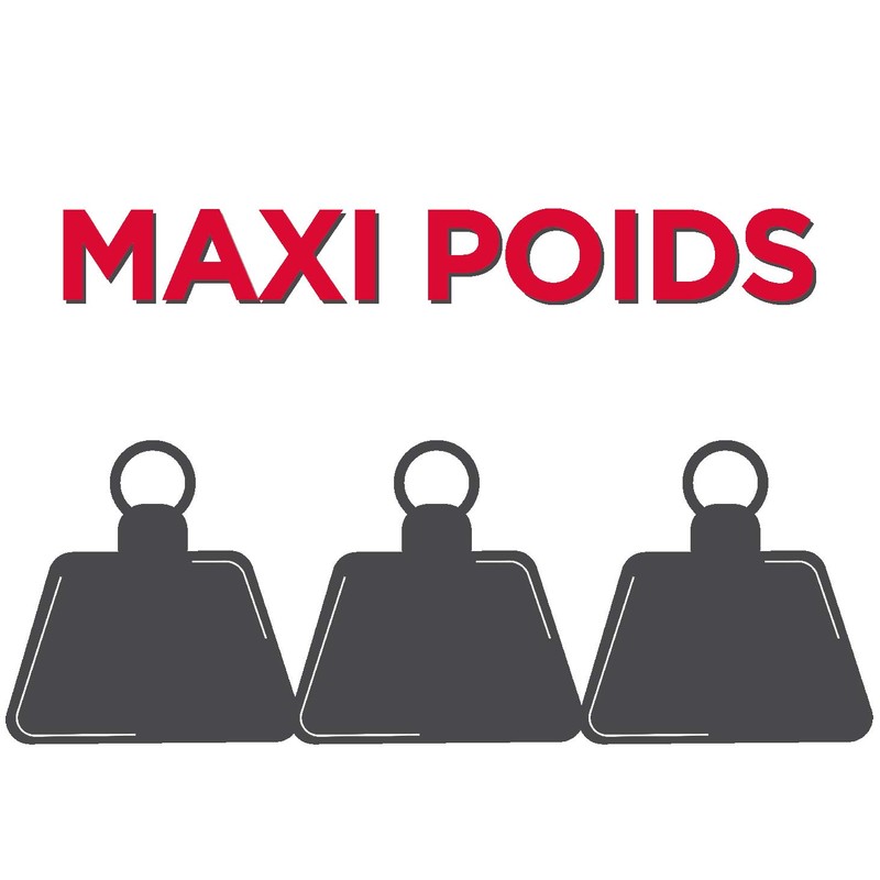Alfaac - 10 Bags with Sliding Straps - Maxi Weight