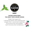 96° Mint Tea – Pack of 3 × 20 Pyramid