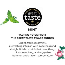 96° Mint Tea – Pack of 3 × 20 Pyramid Tea Bags (60 Bags), Sweet, Refreshing & Cooling Herbal Tea, Caffeine-Free, Individually Wrapped Recyclable Envelopes, Plant-Based Tea Bags with No Microplastics