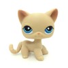CFCLLBR Rare #228 Mini Pet Toys Beige Short Hair Cat