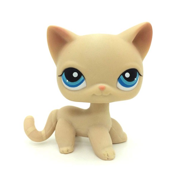 CFCLLBR Rare #228 Mini Pet Toys Beige Short Hair Cat