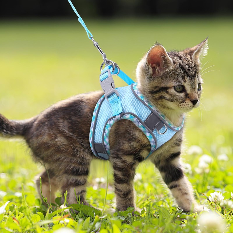 Ankilo Newest Cat Harness and Leash for Walking, Escape Proof