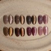 pov FOB Nuts Magnetic Gel Single Item MC40, 10g /