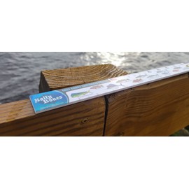 Salty Bones East Coast ID Saltwater 36" Folding Fishing Ruler - Made in The USA