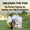 Tonka 3-Ring Tug Outdoor Dog Toy, 10.5 Inch Ring Dog