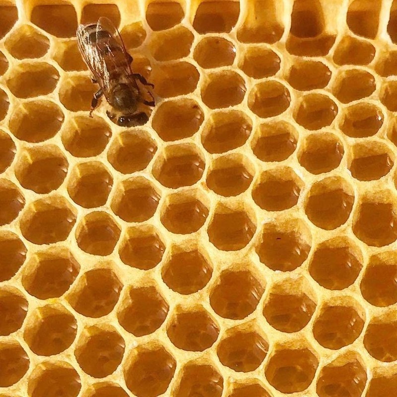 Stakich Yellow Beeswax Block - Natural, Triple Filtered - 1