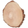Natural Wood Slices Unfinished Wood Circles Ornaments Irregular Wood Slices