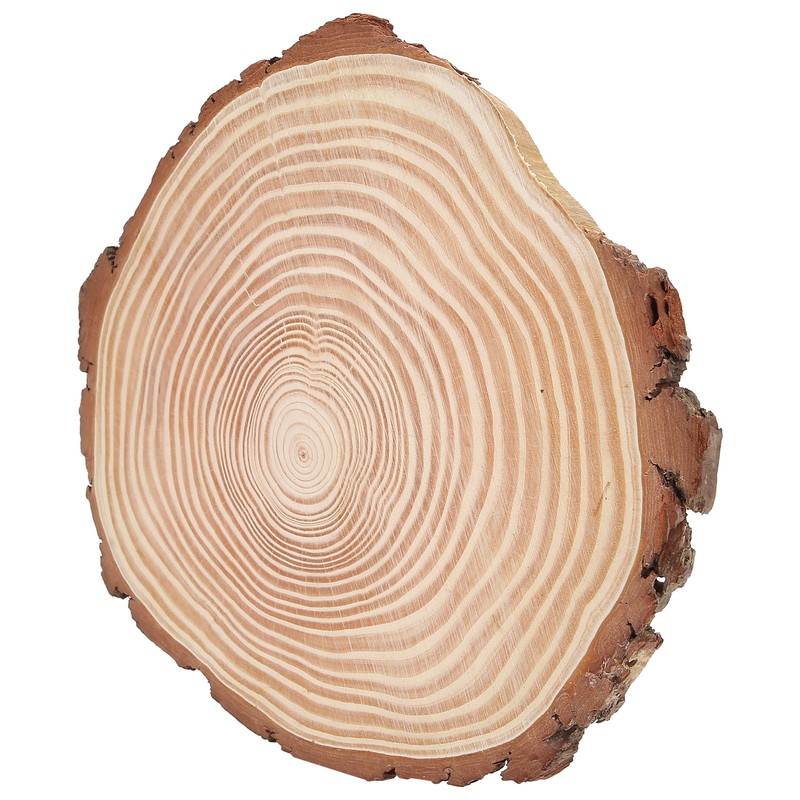 Natural Wood Slices Unfinished Wood Circles Ornaments Irregular Wood Slices