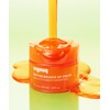 Signic Peptide Bounce Up Cream 50ml