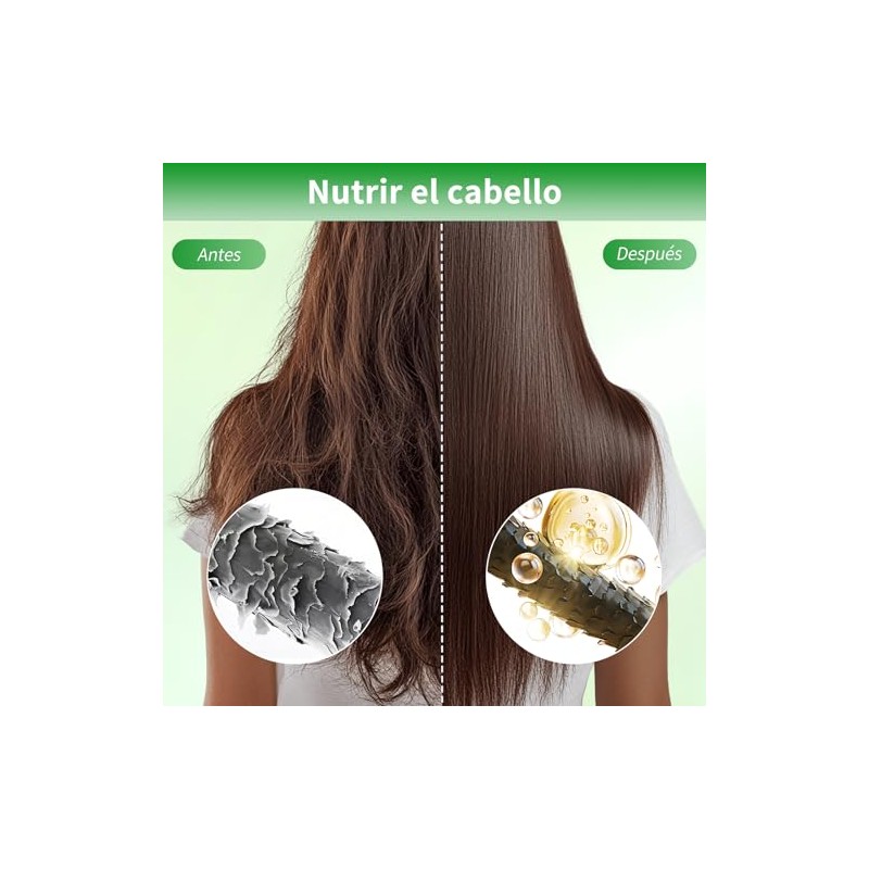 1PCS Shampoo Romero,Champú de Aceite Battana de 300 ml para