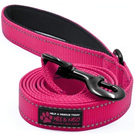 Max and Neo Reflective Nylon Dog Leash - We Donate a Leash to a Dog Rescue for Every Leash Sold (Pink, 4x1)