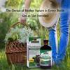 Nature's Answer Sambucus Dietary Supplement, Original for Daily Immune and