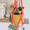 Piglet&Chestnut DIY Plant Hanger Kit, Macrame Beginner Kit, DIY Craft