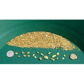 Gold Paydirt Bag Gold & Silver Fines Pickers Nuggets Concentrates 2 lb Bag
