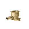 XFITTING 3/8 Inch Pex x 1/2 Inch Female NPT Drop