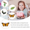 Insects Life Cycle Kit Stages of Insect with Wooden Tray