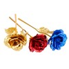 5 Eagles 24k Gold Dipped Rose Rare with Transparent Love