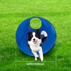 Dog Agility Tunnel, Dog Agility Equipment, Dog Agility Training with