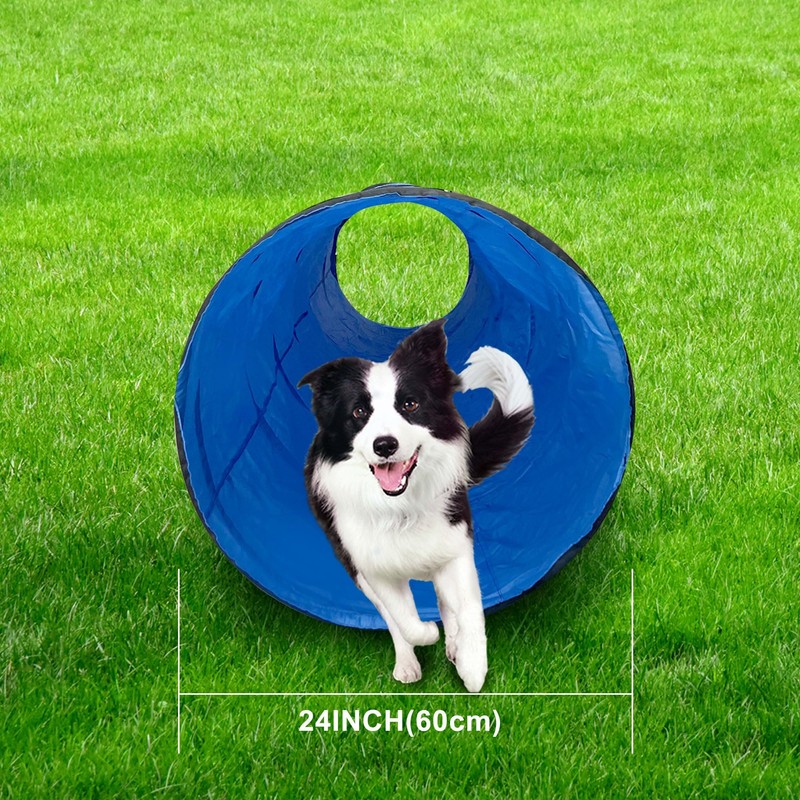 Dog Agility Tunnel, Dog Agility Equipment, Dog Agility Training with