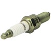 Champion OE122/T10 Double Platinum Spark Plug