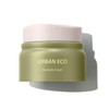 The Saem 더샘 어반 에코 하라케케 수분 촉촉 보습 영양 크림 The Sam Urban Eco Harakeke Moisturizing Nourishing Cream