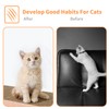AGYM Cat Scratcher, 5 Packs in 1 Cardboard Box Cat
