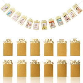 First Birthday Photo Banner, 1st Birthday Decorations, OOTSR 12 Month Photo Banner for Birthday Party Supplies Bunting Decor