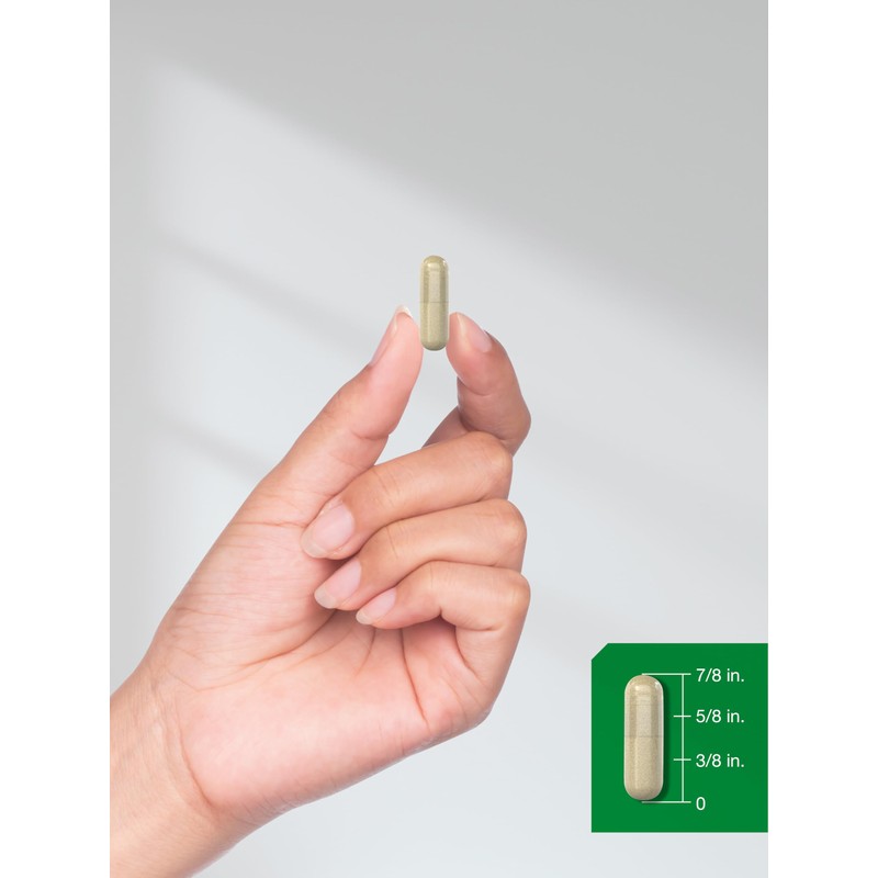 Horbäach Maca Root Capsules for Men and Women | 120