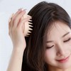 Hair Scrubber Shampoo Brush, Scalp Massager With Gentle Care