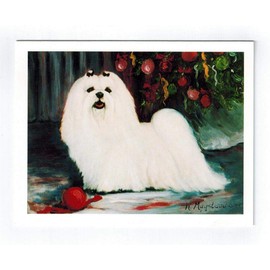 Maltese Pet Dog New Year Greeting Card Set - 12 Cards by Ruth Maystead