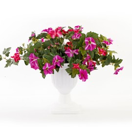 Artificial Fake Flowers Plants for Outdoor, 2PCS Faux Morning Glory Look Real Silk Flowers for Outside, Faux Petunias Flower UV Resistant No Fade Floral for Home Garden Balcony Yard Porch Decor Purple