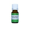 Witch Hazel Virginiana C30, 10 g Globules